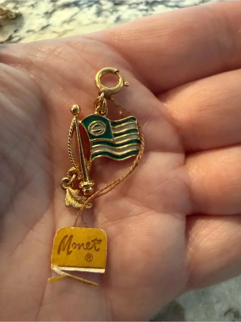 Lot of Six Gold-Tone Jewelry‎ pieces incl Monet Ecology Flag Charm Brooch Pins